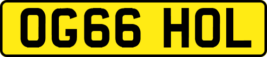 OG66HOL