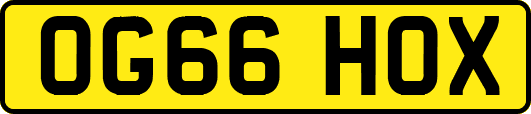 OG66HOX