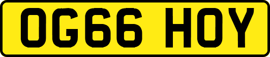 OG66HOY