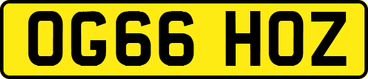 OG66HOZ