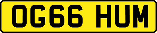 OG66HUM