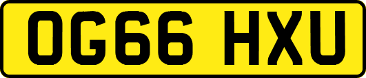 OG66HXU