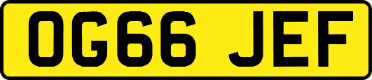 OG66JEF