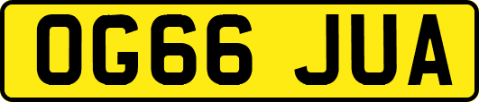 OG66JUA