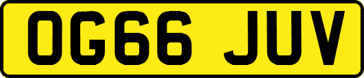 OG66JUV