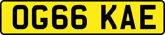 OG66KAE