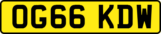 OG66KDW