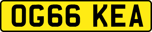 OG66KEA