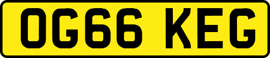 OG66KEG