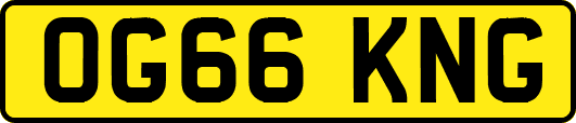 OG66KNG