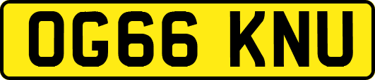 OG66KNU