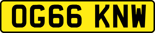 OG66KNW