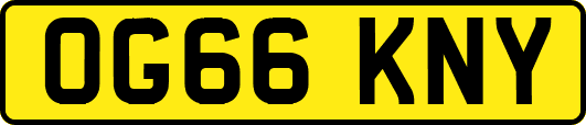 OG66KNY