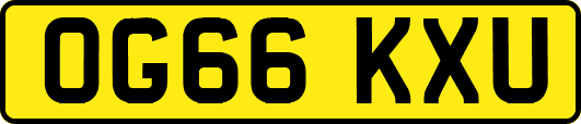 OG66KXU