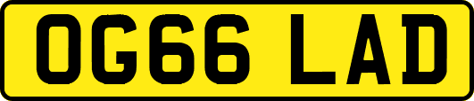 OG66LAD