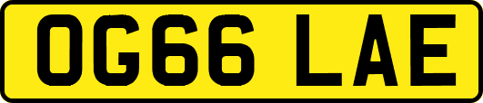 OG66LAE