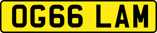 OG66LAM