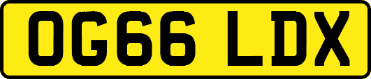 OG66LDX