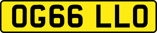 OG66LLO