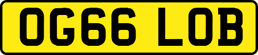 OG66LOB