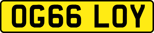 OG66LOY