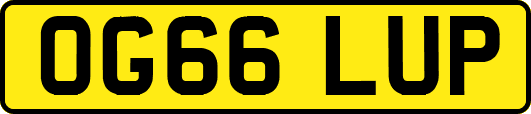 OG66LUP