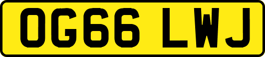 OG66LWJ