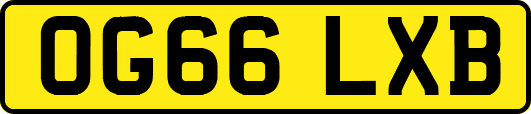 OG66LXB