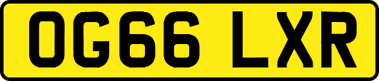 OG66LXR