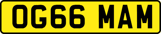 OG66MAM