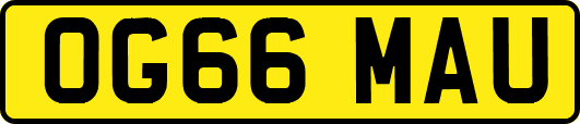 OG66MAU
