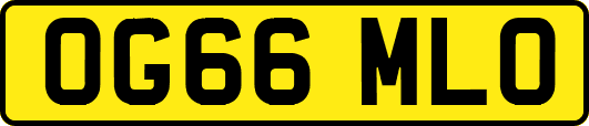 OG66MLO