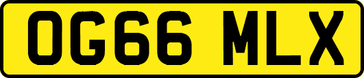 OG66MLX