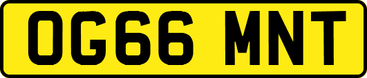 OG66MNT