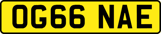 OG66NAE