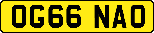 OG66NAO