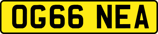 OG66NEA