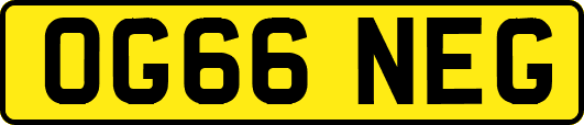 OG66NEG