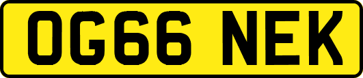 OG66NEK