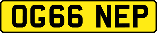OG66NEP