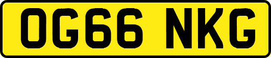OG66NKG