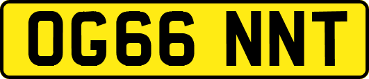 OG66NNT