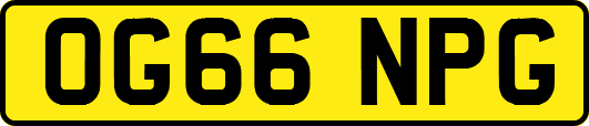 OG66NPG
