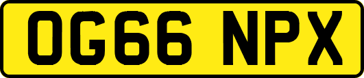 OG66NPX