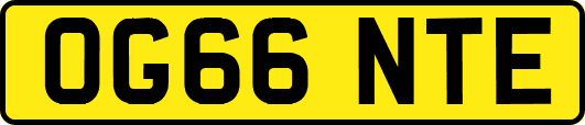 OG66NTE