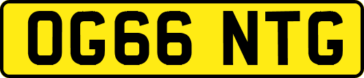 OG66NTG