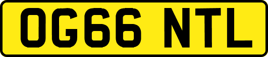 OG66NTL