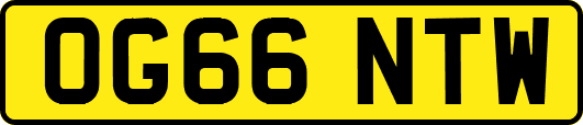 OG66NTW