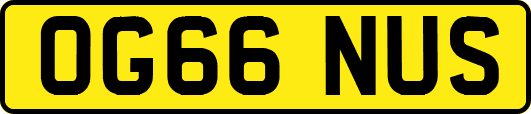OG66NUS
