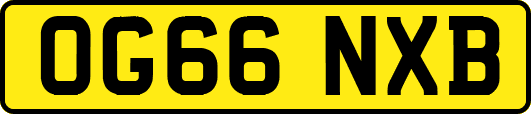 OG66NXB